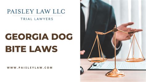georgia dog bite lawyer